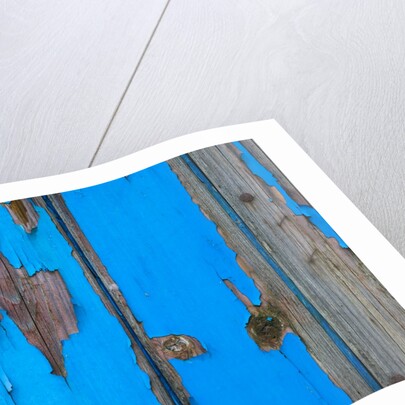 Paint on old door surface by Assaf Frank